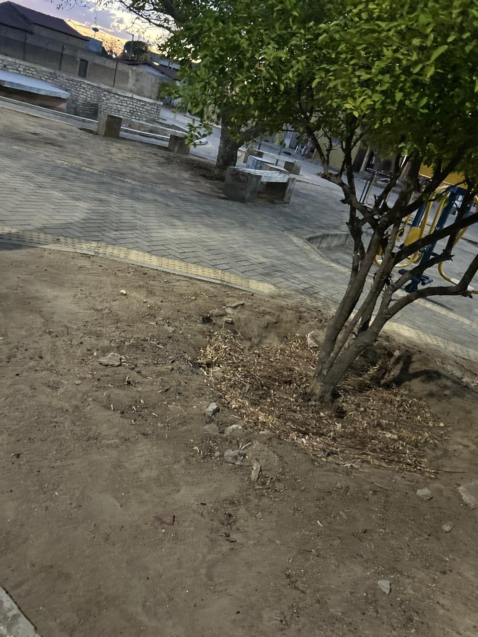 Continua o descaso da Secretaria Municipal de Meio Ambiente com a Praça Paulo Xia, em Janduís!